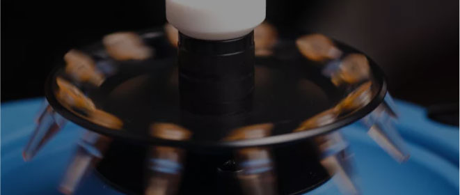 12 mesi dopo la commissione della macchina o 18 mesi dopo la consegna della macchina, a seconda di chi si verifica prima.