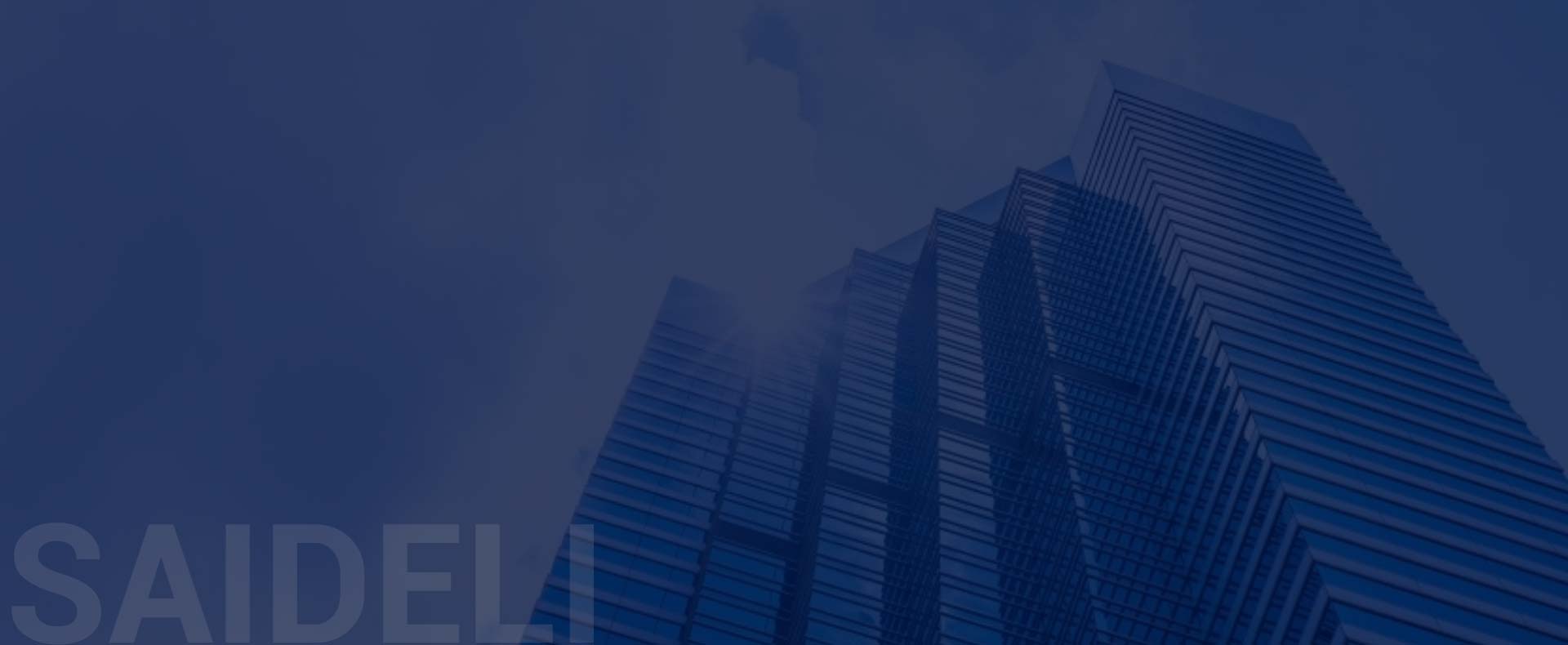 Informazioni su SAIDELI