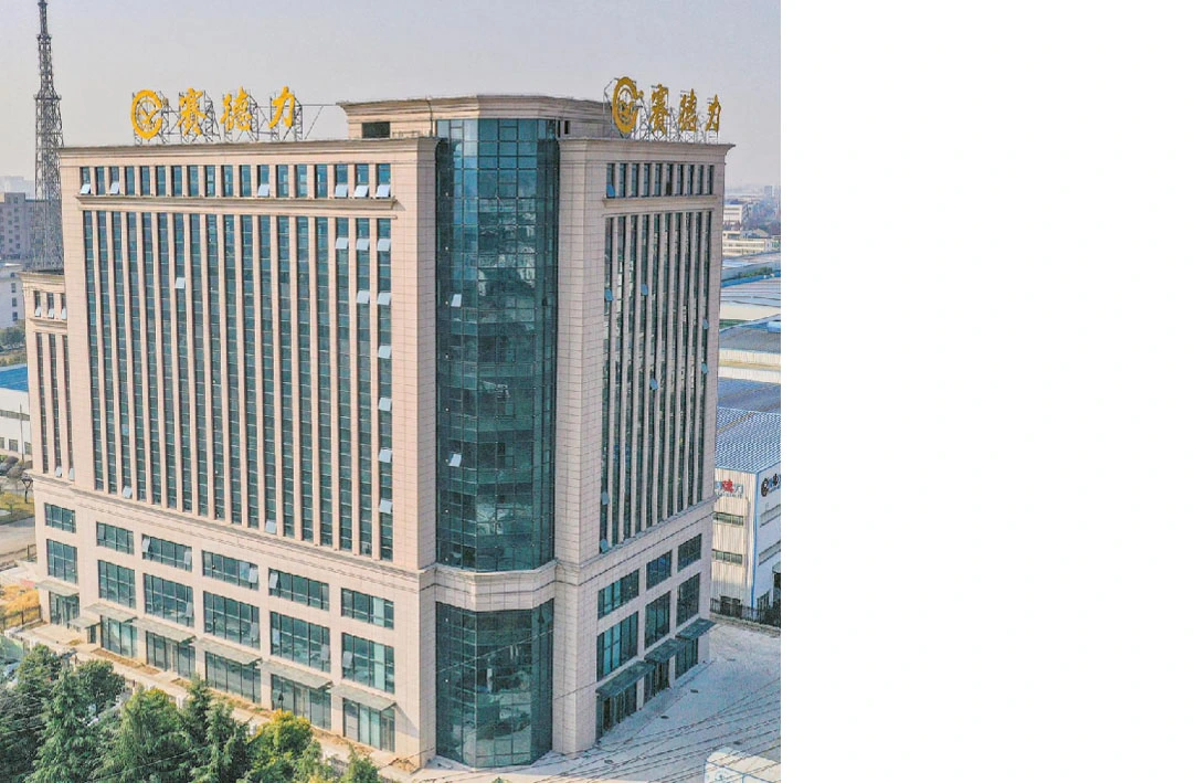 Informazioni su SAIDELI